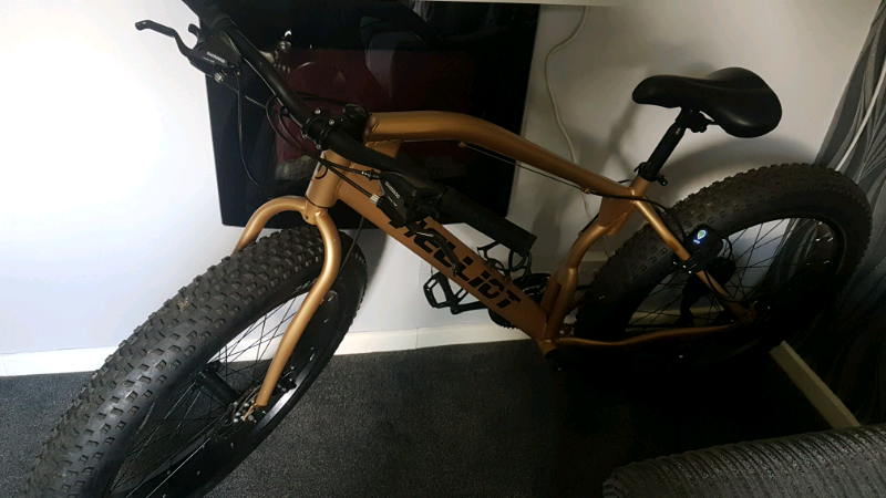 gumtree fat bike